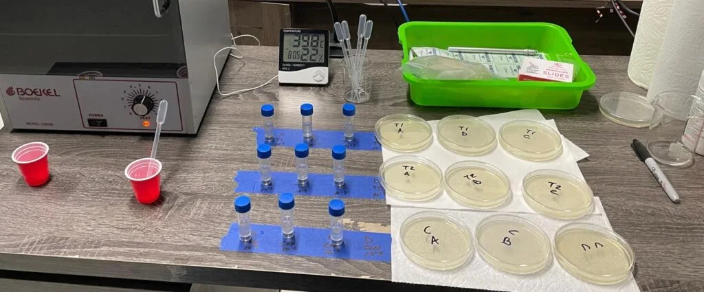 Incubator with serial dilution tubes and the corresponding agar plate samples.
